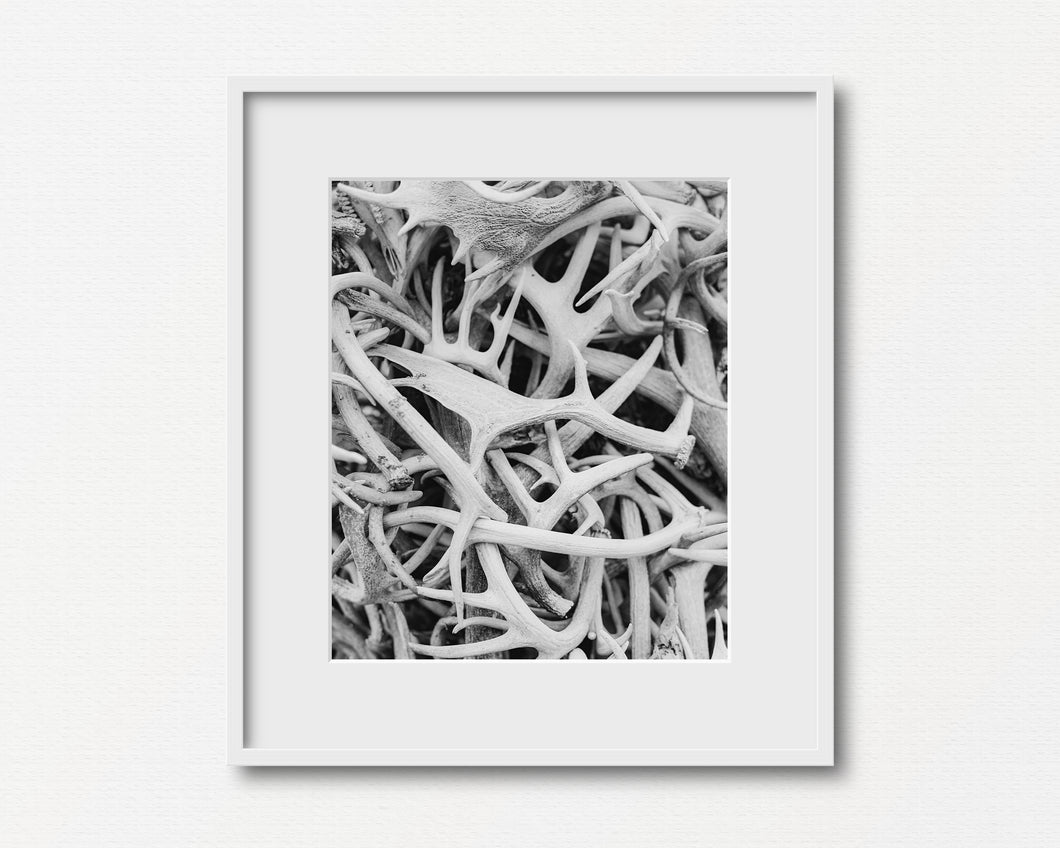Antlers