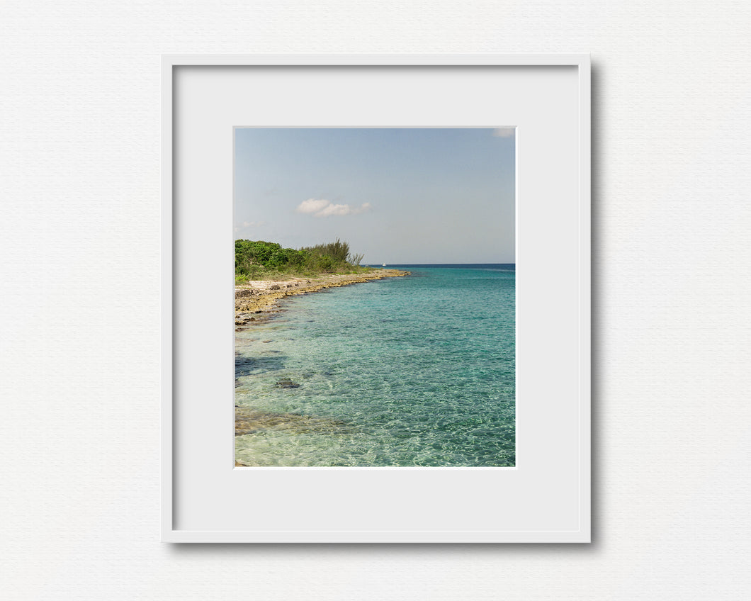 Seashores of Old Mexico