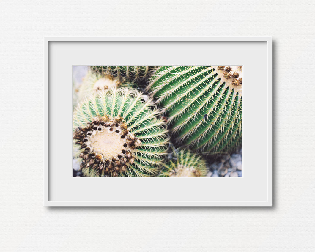 Pin Cushion