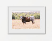 Load image into Gallery viewer, Longhorn Lady Print
