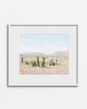 Load image into Gallery viewer, Big Bend Print
