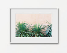 Load image into Gallery viewer, Gage Cacti Print
